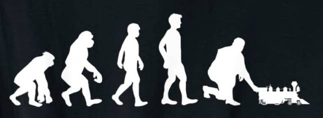 Die Evolution des Mannes
